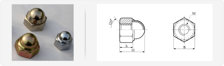 nut03.gif